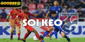 Tin soi kèo chất lượng – Bí quyết tăng tỷ lệ thắng cược