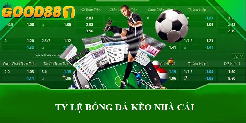 Tỷ lệ bóng đá kèo nhà cái: Những điều mà cược thủ nên nhớ