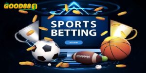 Chinh phục 6 tỷ lệ cá cược bóng đá thường gặp đến hiếm thấy